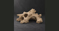 Hollow Oak