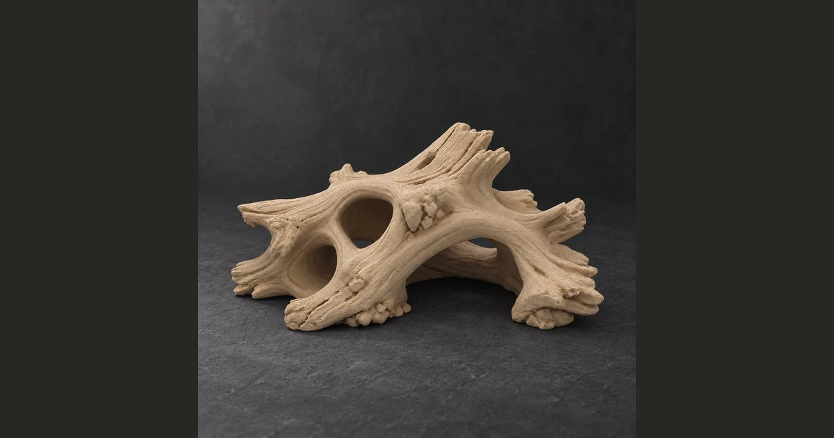 Hollow Oak
