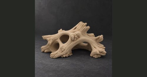Hollow Oak