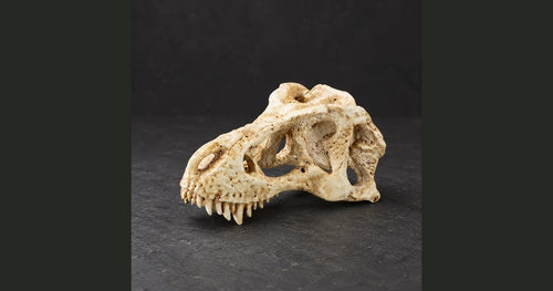 Fossil Hall