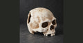 Bone Cottage