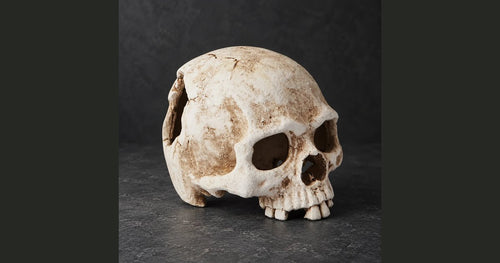 Bone Cottage