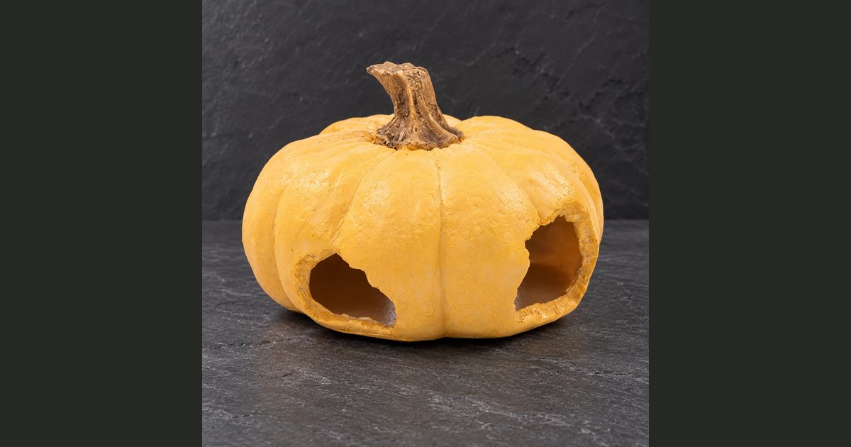 Pumpkin Lodge