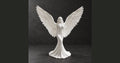 The Seraph