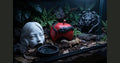 The Curiosity Room set (3 pieces)