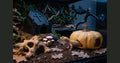 The Haunted Grove set (4 pieces)