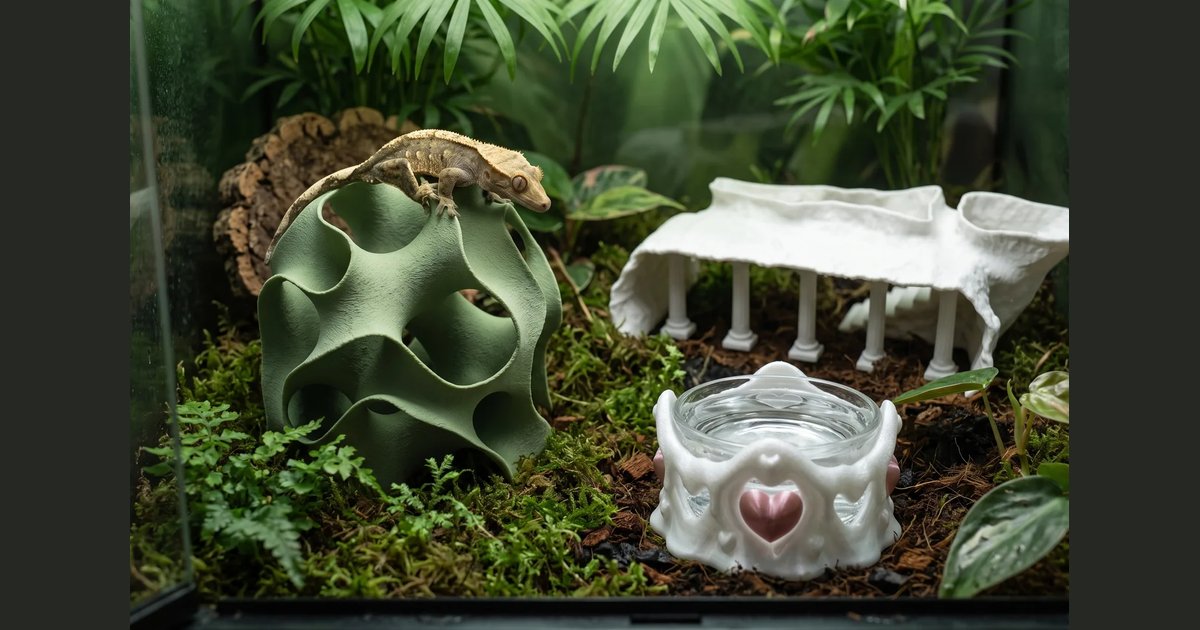 The Moon Garden set (3 pieces)